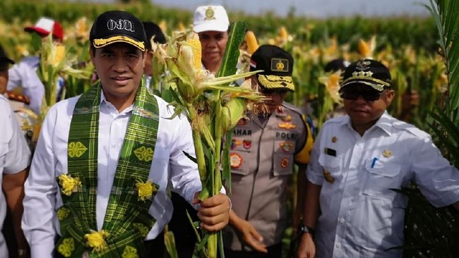 Setelah Beras, Kini Pemerintah Mau Impor Jagung 100.000 Ton