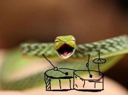 Lucunya Ular-ular Ini Jika Punya Tangan