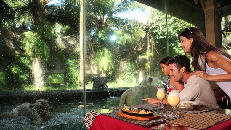 makan di taman safari bogor