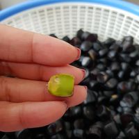 Ini Kabau, 'Jengkol Mini' Oleh-Oleh Bambang Trihatmojo Untuk Mayangsari