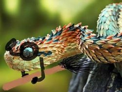 Lucunya Ular-ular Ini Jika Punya Tangan