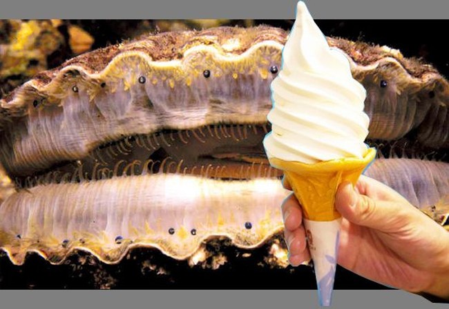 Dari Es Krim Sirip Hiu, Ini 7 Kreasi Es Krim Unik di Jepang