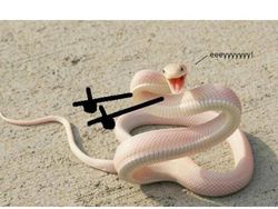 Lucunya Ular-ular Ini Jika Punya Tangan