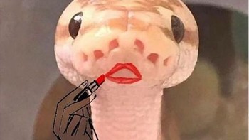 Siapa bilang cuma manusia yang bisa pakai lipstick. Ular ini juga bisa. Foto: Instagram/9GAG