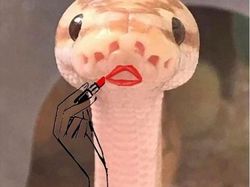 Lucunya Ular-ular Ini Jika Punya Tangan