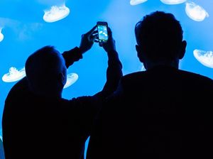 Ini Nih Tips Ambil Angle Foto Kece untuk Feed Medsos Kamu!
