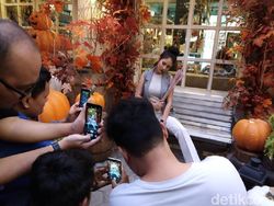 Keseruan Jajal Kamera Xiaomi Mi A2 Lite