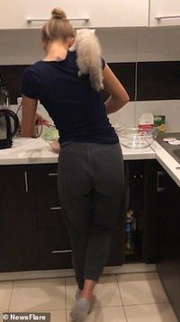 Lucu! Karena Lapar Kucing Ini Intip Sang Pemilik Saat Masak