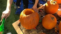 Rayakan Halloween di Amerika, CL mengukir hiasan labu kuningnya sendiri lho. Ia terlihat sangat bersemangat, menghias pesta Halloween di halam belakang rumah. Foto: Instagram @chaelincl