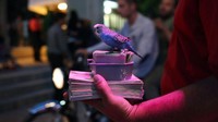 Puisi menempati ruang istimewa dalam budaya Iran. Jauh dari sekadar menghargai puisi sebagai bentuk karya seni, mereka hidup dan bernafas dengannya (John Moore/Getty Images/BBC Travel)
