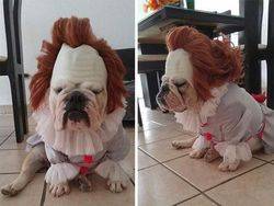 Ini Kostum Halloween Populer di Internet, Seram Campur Lucu!