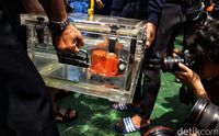 Индонезия: Авиакатастрофа рейса JT610 авиакомпании Lion Air 29 октября 2018