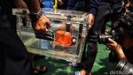 Melihat Lebih Dekat FDR Lion Air PK-LQP yang Ditemukan di Dasar Laut