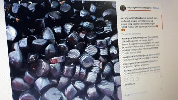 Mayangsari Dapat Oleh-oleh Jengkol dari Bambang Trihatmodjo