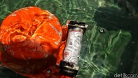 Selama proses pengangkatan, black box itu harus selalu terendam air.