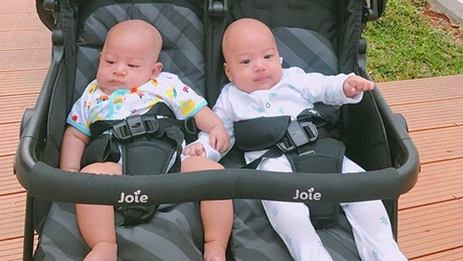 Kenalan dengan Anak Kembar April Jasmine, Si Duo Gembil