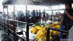 Kopaska Terus Kumpulkan Jenazah Korban Pesawat Lion Air JT 610