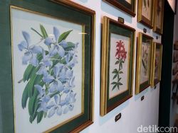 Keseruan Jajal Kamera Xiaomi Mi A2 Lite