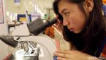 Ragam Teknologi Karya Anak Bangsa Hadir di Indonesia Science Expo