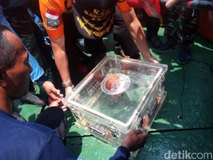 ROV Tak Tangkap Sinyal, Pencarian Black Box CVR Pindah Tempat