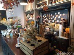 Keseruan Jajal Kamera Xiaomi Mi A2 Lite