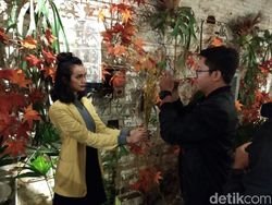 Keseruan Jajal Kamera Xiaomi Mi A2 Lite