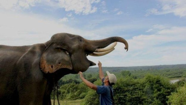 WWF: Keanekaragaman Alam Hilang Besar-besaran karena Konsumsi Manusia WWF: Keanekaragaman Alam Hilang Besar-besaran karena Konsumsi Manusia