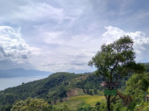 Jika puas selfie, kamu bisa bersantai menikmati hijaunya persawahan, berpadu dengan rumah penduduk dan birunya Danau Singkarak. (dok Uda Uni Duta Wisata Kab Solok) Jika puas selfie, kamu bisa bersantai menikmati hijaunya persawahan, berpadu dengan rumah penduduk dan birunya Danau Singkarak. (dok Uda Uni Duta Wisata Kab Solok)