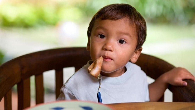 Ilustrasi anak makan ikan/ Foto: iStock Ilustrasi anak makan ikan/ Foto: iStock