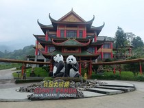 Pas buat Berakhir Pekan! 6 Aktivitas Seru di Istana Panda Taman Safari