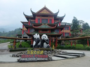 Selain Lihat Panda Lucu, Ini Keseruan Lain di Istana Panda