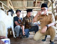 Kampung Lego Wisata Kopi Asli Banyuwangi Kampung Lego Wisata Kopi Asli Banyuwangi