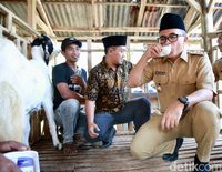 Kampung Lego Wisata Kopi Asli Banyuwangi