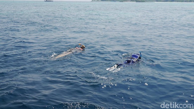 Asyik Snorkeling, Francisco Garcia Tewas Kena Baling-baling