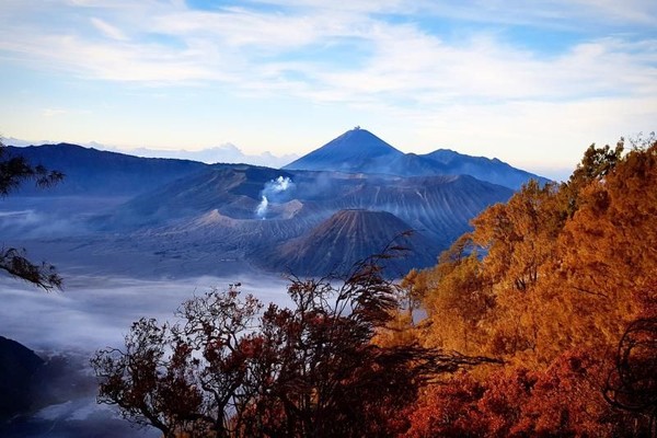 Keindahannya tidak berhenti saat matahari muncul saja. Saat terangpupn Gunung Bromo punya pemandangan yang menakjubkan! (Maria Sianipar/dtraveler) Keindahannya tidak berhenti saat matahari muncul saja. Saat terangpupn Gunung Bromo punya pemandangan yang menakjubkan! (Maria Sianipar/dtraveler)
