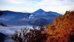 Tak Ada Lawan Indahnya Sunrise di Bromo