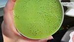 Nyamm! Intip 12 Dessert Matcha yang Dijamin Bikin Ngiler