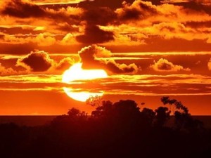 Musim Gelombang Panas Kembali Melanda Australia