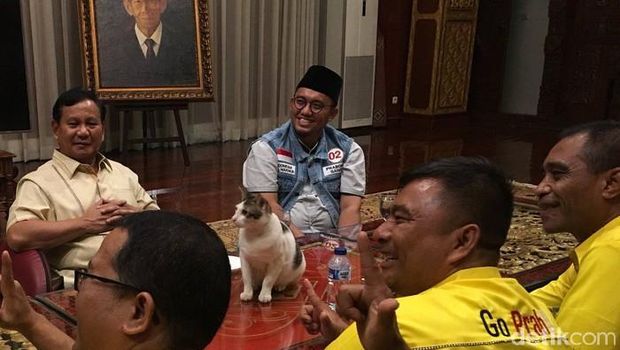 Bobby, kucing Prabowo