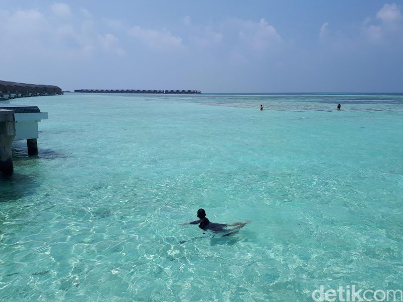 d'TRaveler pulang dari maldives