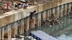 Bermain di Kali Grogol yang Penuh Sampah