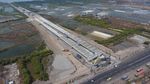 Terus Dikebut, Ini Proyek Flyover Teluk Lamong Rp 1,3 Triliun