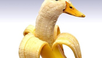 Bebek dan pisang, karya sopic84. Foto: Bored Panda