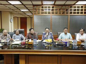 Penjelasan Lengkap Kementan soal Impor Jagung 100.000 Ton