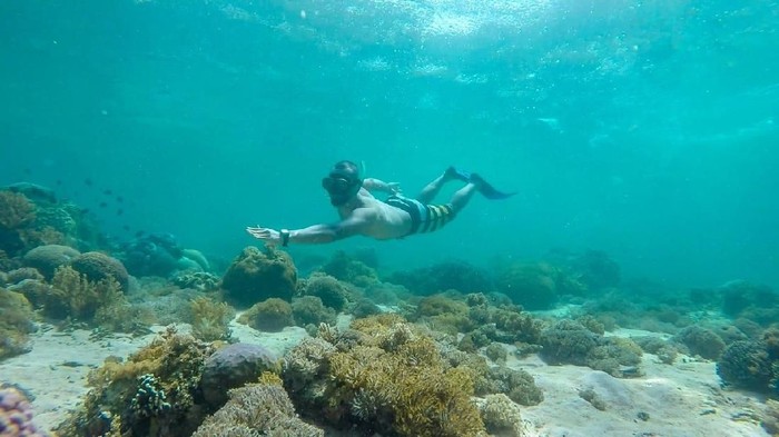 My Trip My Adventure di Labuan Bajo, snorkeling di Pink Beach, ke Pulau Komodo dan Pulau Padar