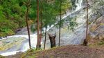 Foto: Sungai Ajaib Penghilang Segala Penyakit