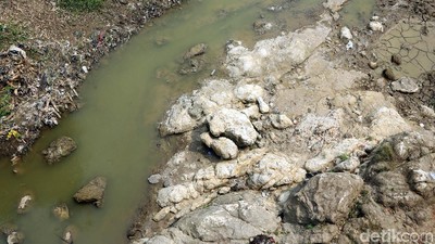 Musim Kemarau, Kali Cipamingkis Bekasi Surut