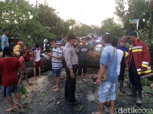 Puting Beliung Landa Bojonegoro, Rumah, Pohon dan Tower Roboh