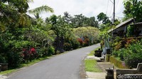 Inilah Desa Wisata Ekologis Nyambu di Kecamatan Kediri, Kabupaten Tabanan, Bali. Nama desa wisata ini memang belum terdengar gaungnya seperti desa yang lain. (Wahyu/detikTravel)