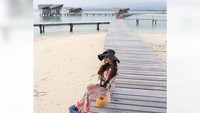 Liburan ke Gorontalo, Lia terlihat duduk santai di pantai sambil menikmati kelapa muda dalam batok. Duh posenya terlihat seperti model ya? Foto: instagram @lia_dahlianaaa